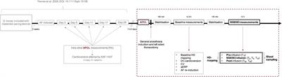 Inhibition of Small-Conductance Calcium-Activated Potassium Current (IK,Ca) Leads to Differential Atrial Electrophysiological Effects in a Horse Model of Persistent Atrial Fibrillation